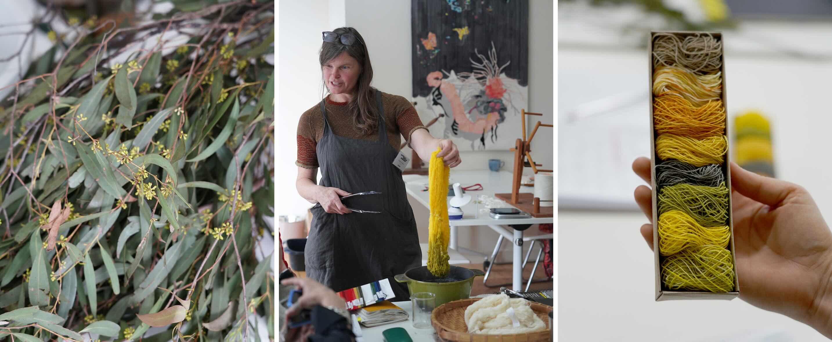 Scenes from a natural dying workshop with Heather, including plants and a stovetop pot to boil them